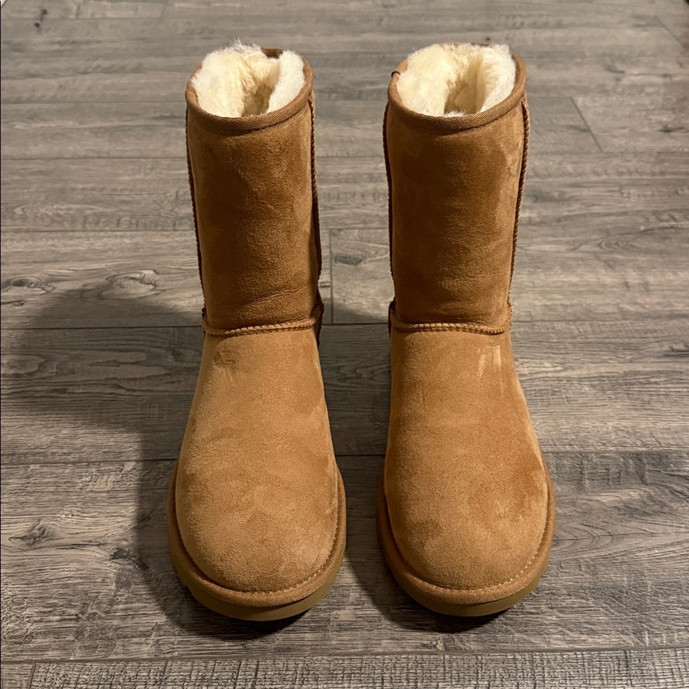 UGG Chestnut Suede Boots